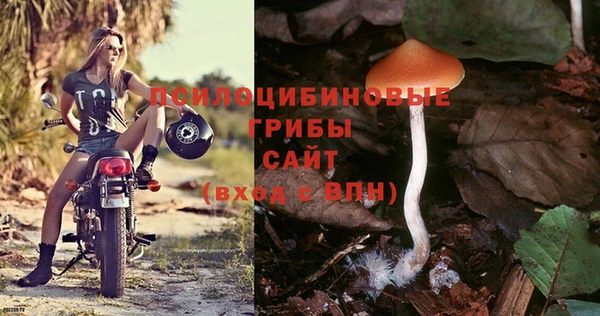 крисы Беломорск
