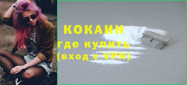 твердый Богородск