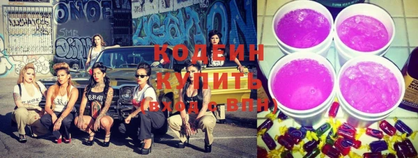 крисы Белокуриха