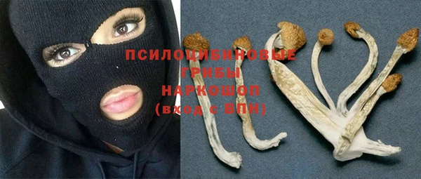 крисы Беломорск