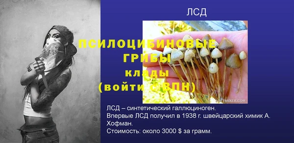 крисы Белокуриха