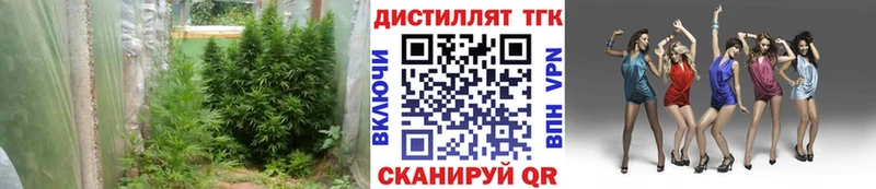 ТГК вейп с тгк  Вязьма 