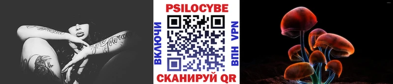 гидра вход  Вязьма  Псилоцибиновые грибы мицелий  купить наркотик 
